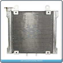Cargar imagen en el visor de la galería, Radiator High Performance All Aluminum TIG Welded fits Can-Am DS650 X... QAC