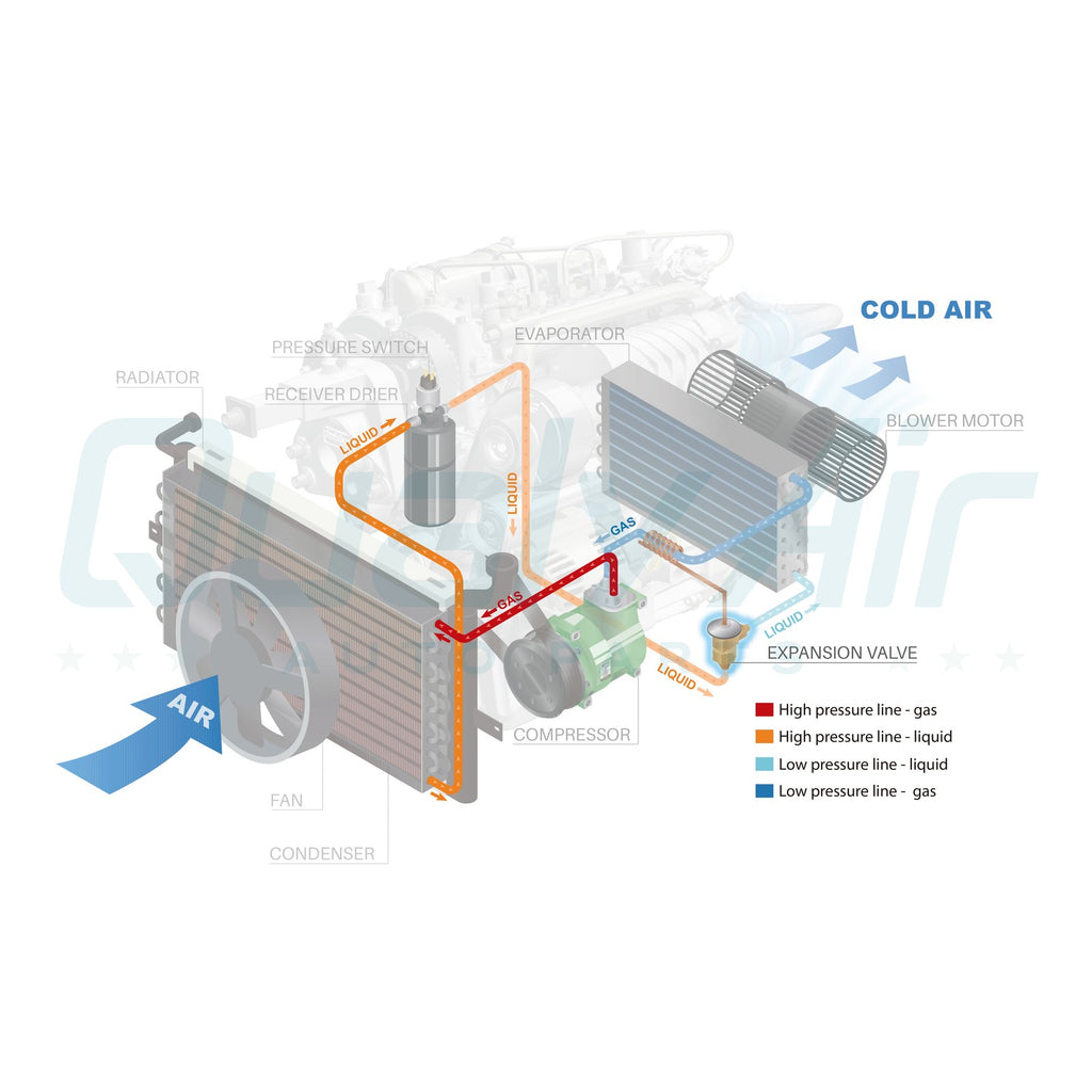 45103039