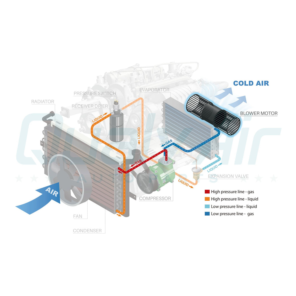 45101701