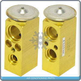 A/C Expansion Valve for Chevrolet Venture / Oldsmobile Silhouette / Pontia... QR - Qualy Air