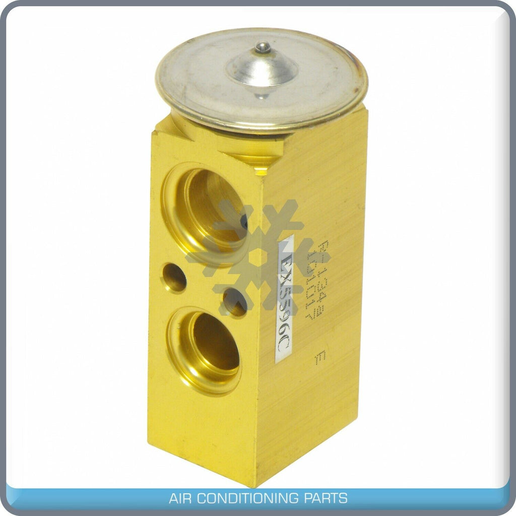A/C Expansion Valve for Chevrolet Venture / Oldsmobile Silhouette / Pontia... QR - Qualy Air