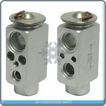 Cargar imagen en el visor de la galería, A/C Expansion Valve for Cadillac Catera QR - Qualy Air
