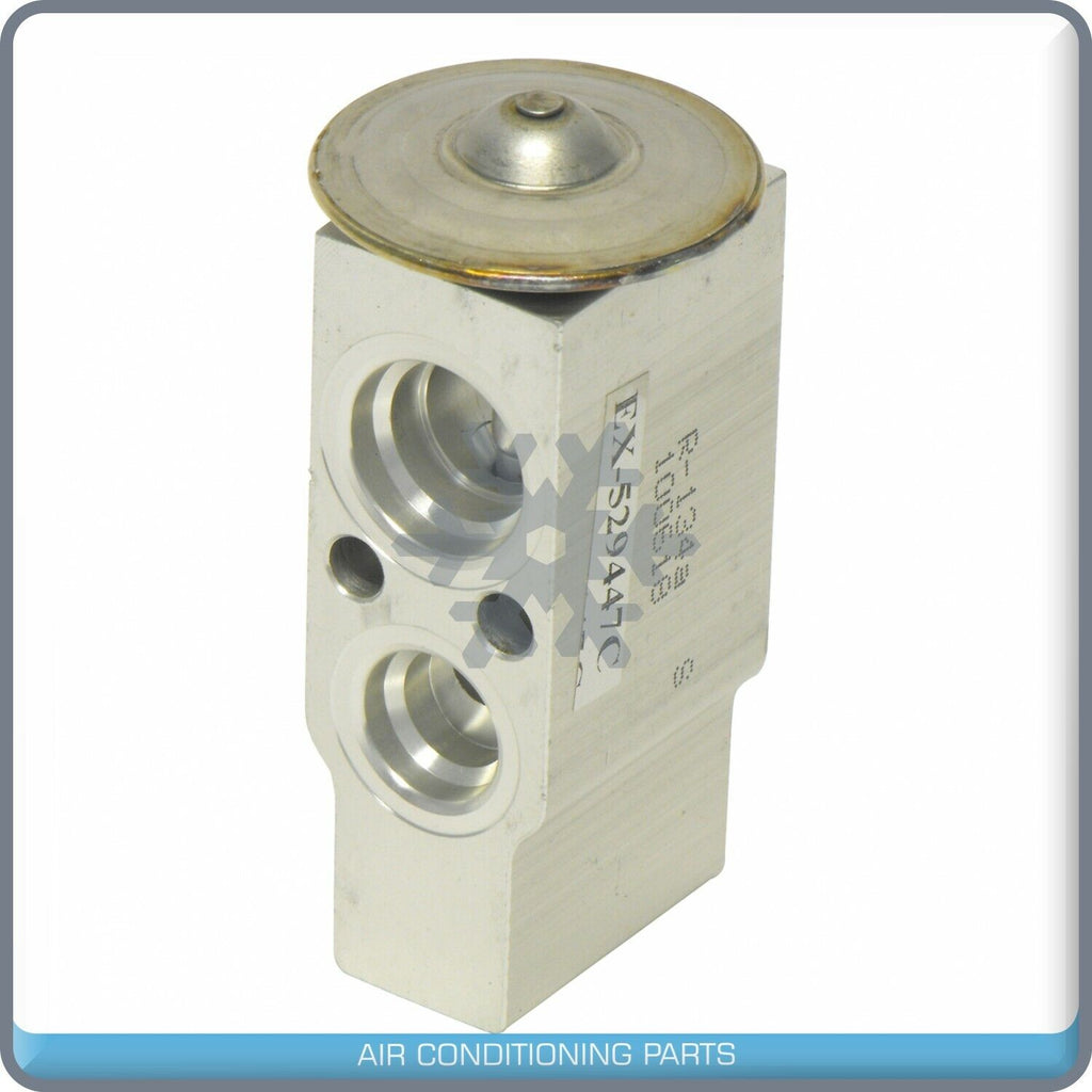 A/C Expansion Valve for Sentra QR - Qualy Air