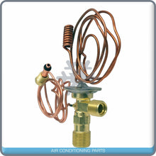 Cargar imagen en el visor de la galería, A/C Expansion Valve for Cadillac / Chevrolet / GMC / Oldsmobile / Pontiac QR - Qualy Air