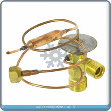 Cargar imagen en el visor de la galería, A/C Expansion Valve for Hesston 60-86, 65-94, 72-94, 82-94, 88-94 / Intern... QR - Qualy Air