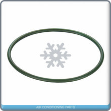 Cargar imagen en el visor de la galería, Electric Fuel Pump Module for Buick Lucerne V8 4.6L V6 3.8L 2006-2007 E3709M QOA - Qualy Air