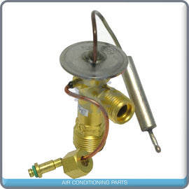 A/C Expansion Valve for Buick Skylark / Chevrolet Beretta, Corsica / Ponti... QR - Qualy Air
