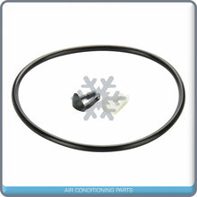Cargar imagen en el visor de la galería, Electric Fuel Pump for Ford Focus QOA - Qualy Air
