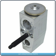 Load image into Gallery viewer, A/C Expansion Valve for Chevrolet Captiva Sport / Saturn Vue QR - Qualy Air