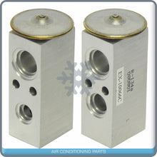 Cargar imagen en el visor de la galería, A/C Expansion Valve for Daewoo Lanos, Leganza, Nubira QR - Qualy Air