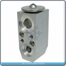 Load image into Gallery viewer, A/C Expansion Valve for Chevrolet Equinox / Saturn Vue QR - Qualy Air