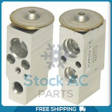 Load image into Gallery viewer, A/C Expansion Valve for Sentra QR - Qualy Air