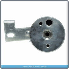 Cargar imagen en el visor de la galería, A/C Receiver Drier for Chrysler Town &amp; Country / Dodge Grand Caravan / Vol... QR - Qualy Air